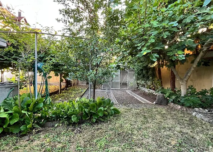 Primera Smart Micro-apartments 3*